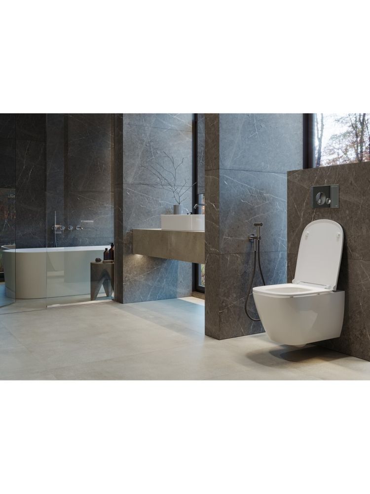 BELLISE Унитаз подвесной RML Slim Белый S1(WC.WH/Bellise/SlimDM.Rim/WHT.G/S1) — фото 2